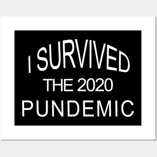 I Survived The 2020 Pundemic Posters and Art